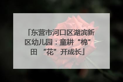 东营市河口区湖滨新区幼儿园：童耕“棉”田 “花”开成长