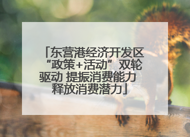 东营港经济开发区“政策+活动”双轮驱动 提振消费能力 释放消费潜力