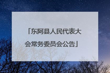 东阿县人民代表大会常务委员会公告