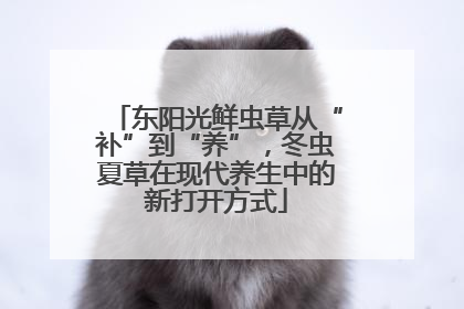 东阳光鲜虫草从“补”到“养”，冬虫夏草在现代养生中的新打开方式