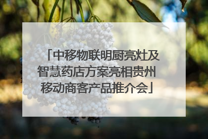 中移物联明厨亮灶及智慧药店方案亮相贵州移动商客产品推介会