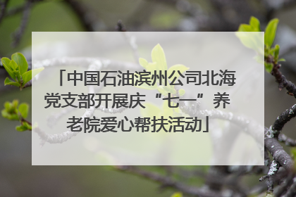 中国石油滨州公司北海党支部开展庆“七一”养老院爱心帮扶活动