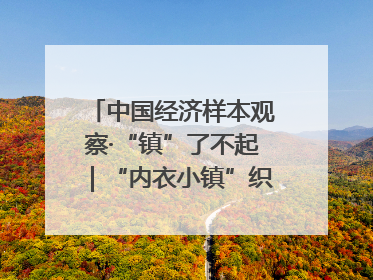 中国经济样本观察·“镇”了不起｜“内衣小镇”织出500亿元“里子产业”