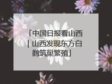 中国日报看山西｜山西发现东方白鹳筑巢繁殖