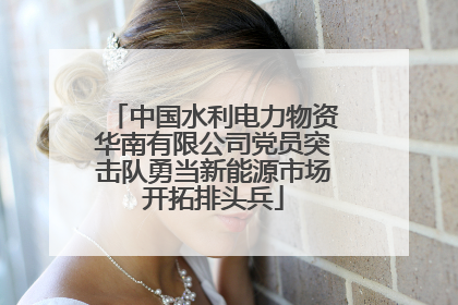 中国水利电力物资华南有限公司党员突击队勇当新能源市场开拓排头兵