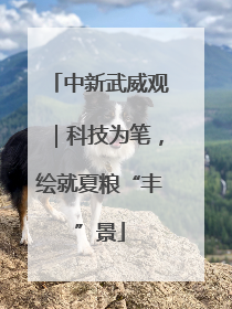 中新武威观｜科技为笔，绘就夏粮“丰”景