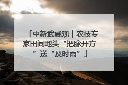 中新武威观｜农技专家田间地头“把脉开方”送“及时雨”