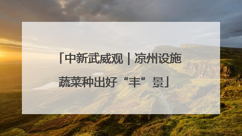 中新武威观｜凉州设施蔬菜种出好“丰”景