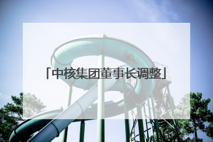 中核集团董事长调整