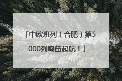 中欧班列（合肥）第5000列鸣笛起航！
