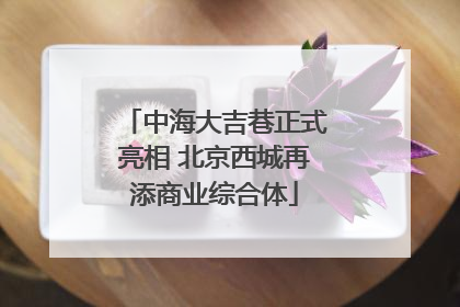 中海大吉巷正式亮相 北京西城再添商业综合体