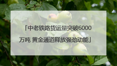 中老铁路货运量突破6000万吨 黄金通道释放强劲动能
