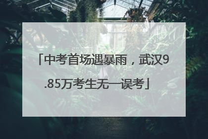 中考首场遇暴雨，武汉9.85万考生无一误考