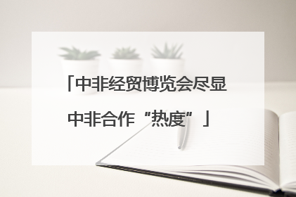 中非经贸博览会尽显中非合作“热度”