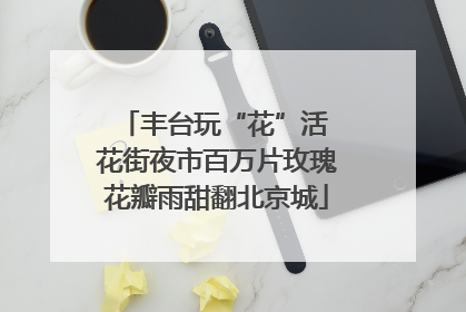 丰台玩“花”活 花街夜市百万片玫瑰花瓣雨甜翻北京城