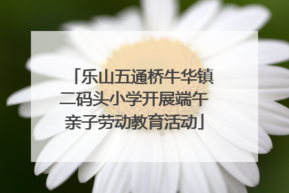 乐山五通桥牛华镇二码头小学开展端午亲子劳动教育活动