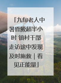 九旬老人中暑昏厥超半小时 镇村干部走访途中发现及时施救｜看见正能量