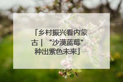 乡村振兴看内蒙古｜“沙漠蓝莓”种出紫色未来