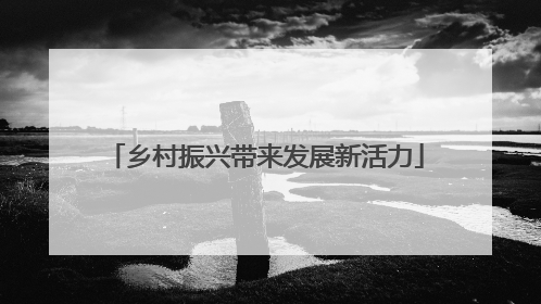 乡村振兴带来发展新活力