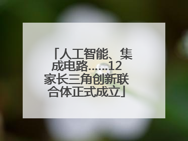 人工智能、集成电路……12家长三角创新联合体正式成立