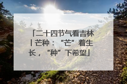 二十四节气看吉林丨芒种：“芒”着生长，“种”下希望