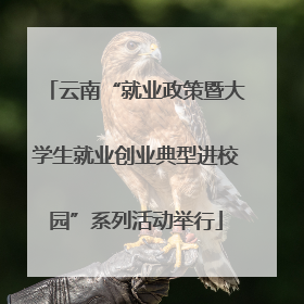 云南“就业政策暨大学生就业创业典型进校园”系列活动举行
