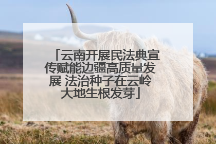 云南开展民法典宣传赋能边疆高质量发展 法治种子在云岭大地生根发芽