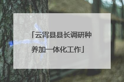 云霄县县长调研种养加一体化工作