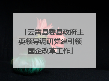 云霄县委县政府主要领导调研党建引领国企改革工作
