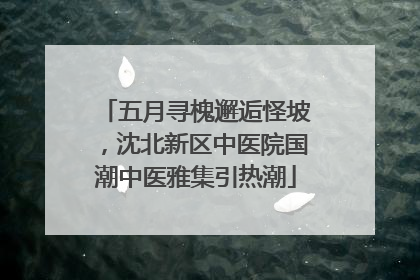 五月寻槐邂逅怪坡，沈北新区中医院国潮中医雅集引热潮