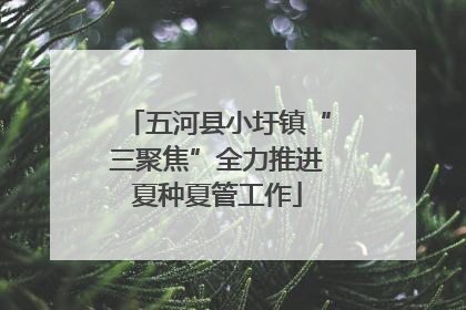 五河县小圩镇“三聚焦”全力推进夏种夏管工作
