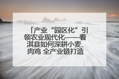 产业“园区化”引领农业现代化——看淇县如何深耕小麦、肉鸡 全产业链打造现代农业产业园