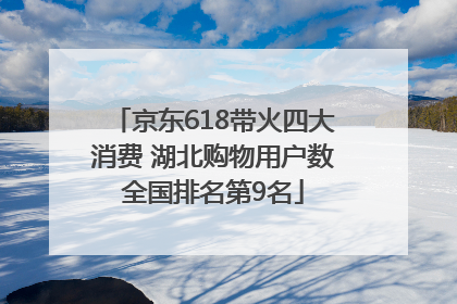 京东618带火四大消费 湖北购物用户数全国排名第9名