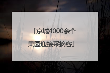 京城4000余个果园迎接采摘客