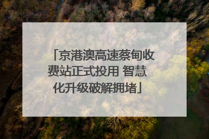 京港澳高速蔡甸收费站正式投用 智慧化升级破解拥堵