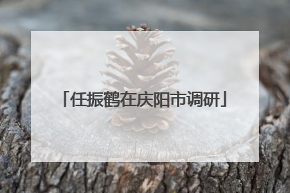 任振鹤在庆阳市调研