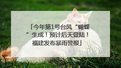 今年第1号台风“蝴蝶”生成！预计后天登陆！福建发布暴雨警报