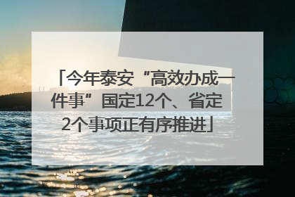 今年泰安“高效办成一件事”国定12个、省定2个事项正有序推进