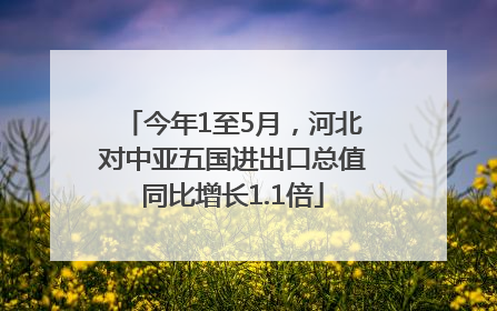 今年1至5月，河北对中亚五国进出口总值同比增长1.1倍