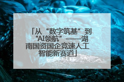 从“数字筑基”到“AI领航”——湖南国资国企竞速人工智能新赛道