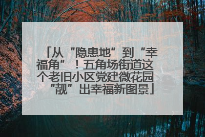 从“隐患地”到“幸福角”！五角场街道这个老旧小区党建微花园“靓”出幸福新图景
