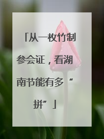 从一枚竹制参会证，看湖南节能有多“拼”
