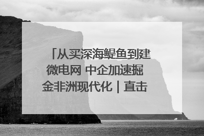 从买深海鳀鱼到建微电网 中企加速掘金非洲现代化｜直击中非经贸博览会