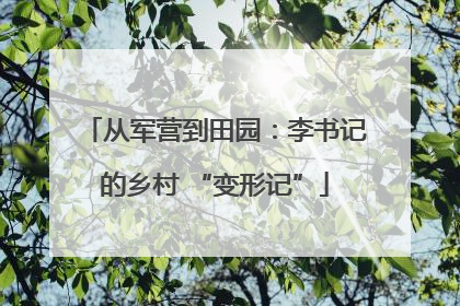 从军营到田园：李书记的乡村 “变形记”