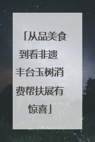从品美食到看非遗 丰台玉树消费帮扶展有惊喜