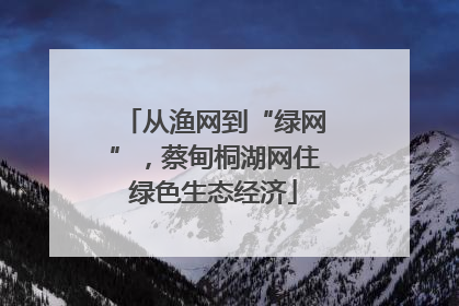 从渔网到“绿网”，蔡甸桐湖网住绿色生态经济