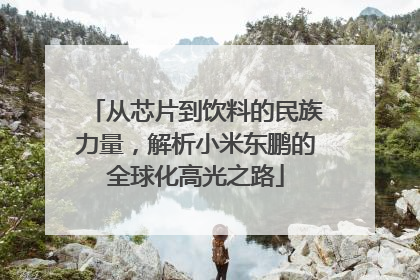 从芯片到饮料的民族力量，解析小米东鹏的全球化高光之路