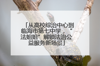 从高校综治中心到临海市第七中学，“法姐姐”解锁法治公益服务新场景