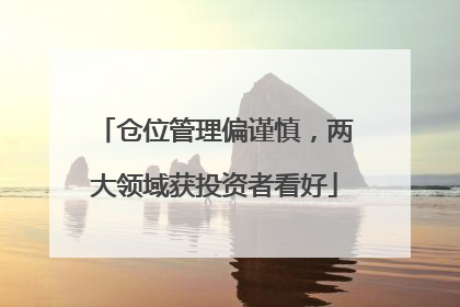 仓位管理偏谨慎，两大领域获投资者看好