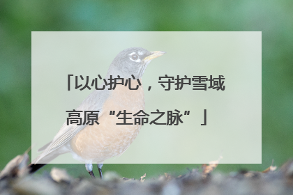 以心护心，守护雪域高原“生命之脉”